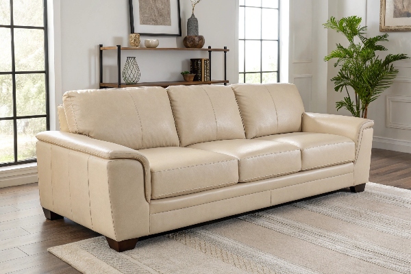 treat faux leather couch